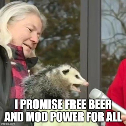 Hey, I would vote for him | I PROMISE FREE BEER AND MOD POWER FOR ALL | image tagged in speach possum | made w/ Imgflip meme maker