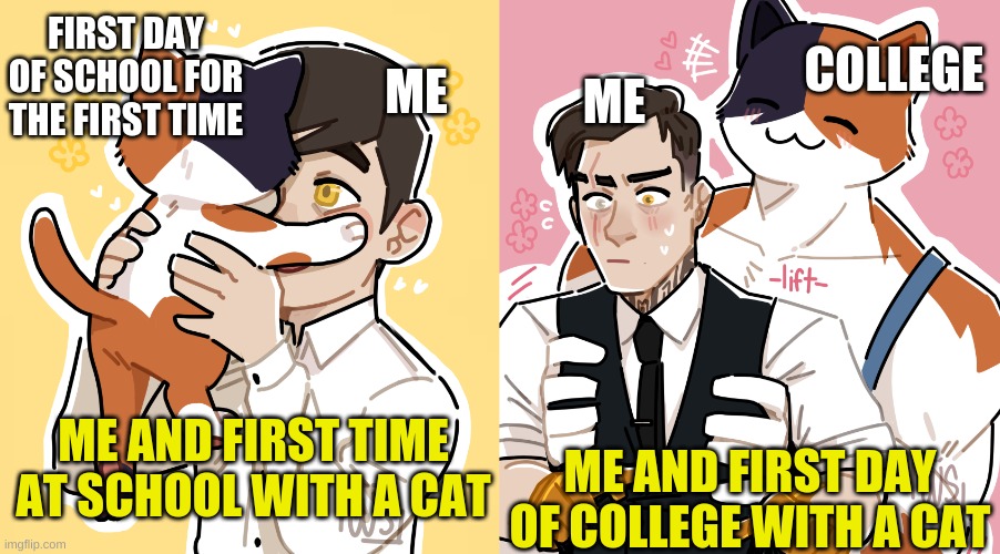 Meowscles and Midas | COLLEGE; FIRST DAY OF SCHOOL FOR THE FIRST TIME; ME; ME; ME AND FIRST TIME AT SCHOOL WITH A CAT; ME AND FIRST DAY OF COLLEGE WITH A CAT | image tagged in fortnite | made w/ Imgflip meme maker