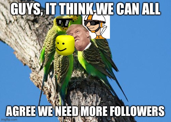 The Meeting | GUYS, IT THINK WE CAN ALL; AGREE WE NEED MORE FOLLOWERS | image tagged in the meeting | made w/ Imgflip meme maker