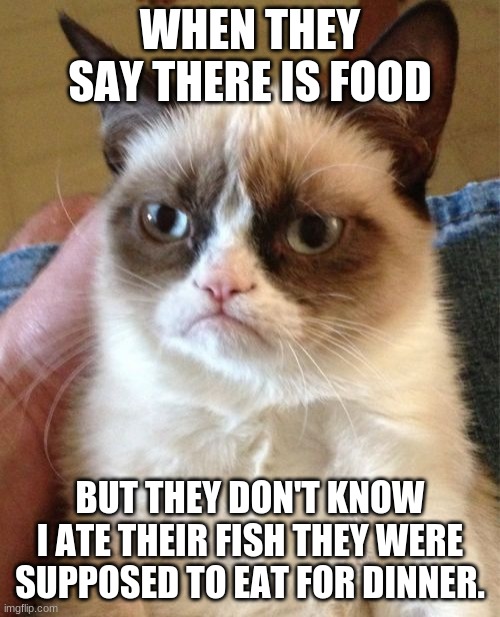 Grumpy Cat | WHEN THEY SAY THERE IS FOOD; BUT THEY DON'T KNOW I ATE THEIR FISH THEY WERE SUPPOSED TO EAT FOR DINNER. | image tagged in memes,grumpy cat | made w/ Imgflip meme maker