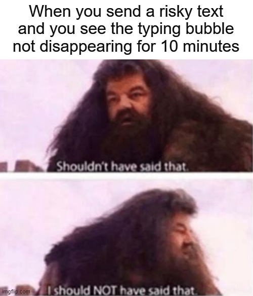 Shouldn't have said that | When you send a risky text and you see the typing bubble not disappearing for 10 minutes | image tagged in shouldn't have said that,memes,funny,texting | made w/ Imgflip meme maker