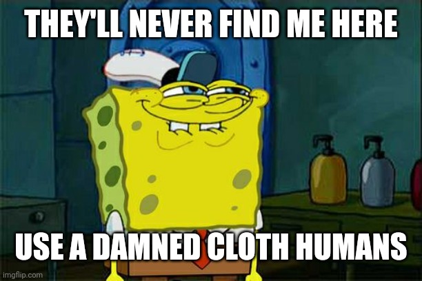 Don't You Squidward | THEY'LL NEVER FIND ME HERE; USE A DAMNED CLOTH HUMANS | image tagged in memes,don't you squidward | made w/ Imgflip meme maker