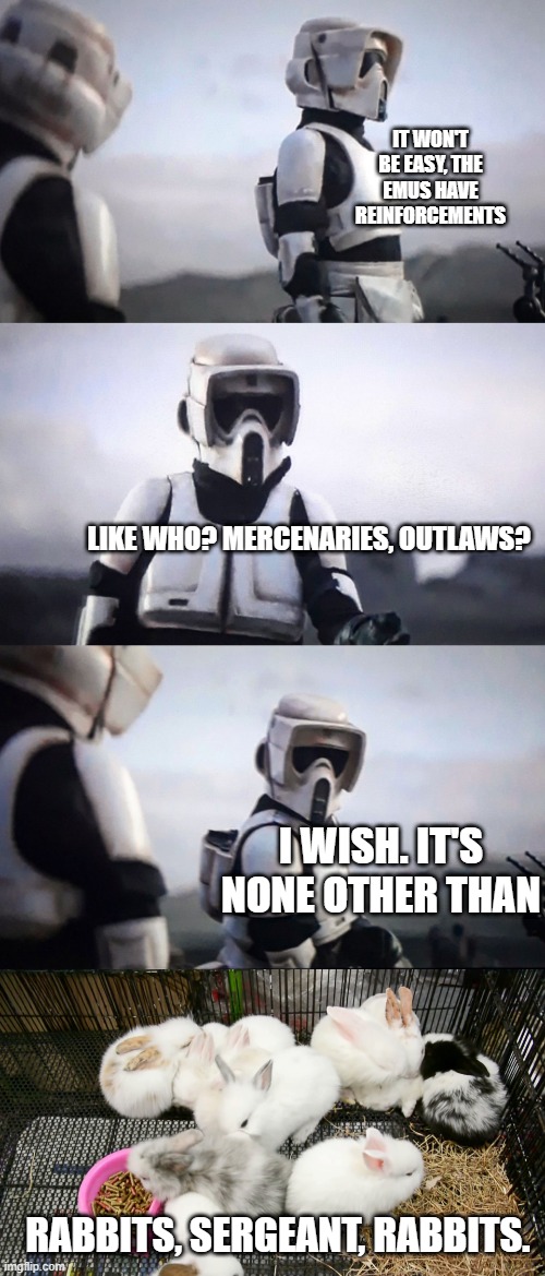 IT WON'T BE EASY, THE EMUS HAVE REINFORCEMENTS; LIKE WHO? MERCENARIES, OUTLAWS? I WISH. IT'S NONE OTHER THAN; RABBITS, SERGEANT, RABBITS. | image tagged in bunny rabbits,storm trooper conversation | made w/ Imgflip meme maker