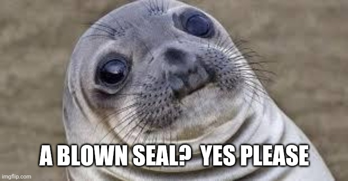 Akward moment seal | A BLOWN SEAL?  YES PLEASE | image tagged in akward moment seal | made w/ Imgflip meme maker