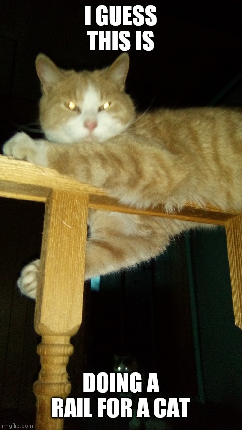 Gandolph | I GUESS THIS IS; DOING A RAIL FOR A CAT | image tagged in gandolph | made w/ Imgflip meme maker