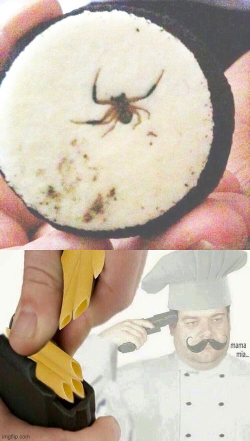 And here we have the spider on the oreo. | image tagged in memes,oh hell no | made w/ Imgflip meme maker