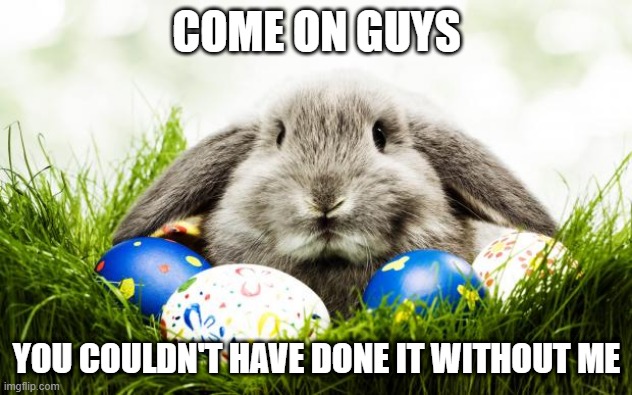 Easter bunny | COME ON GUYS YOU COULDN'T HAVE DONE IT WITHOUT ME | image tagged in easter bunny | made w/ Imgflip meme maker