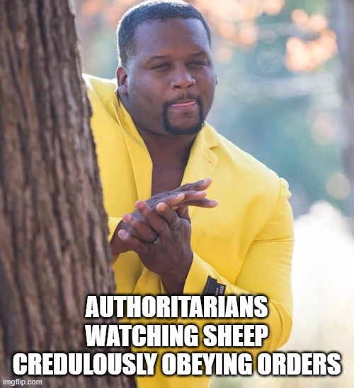 Black guy hiding behind tree | AUTHORITARIANS WATCHING SHEEP CREDULOUSLY OBEYING ORDERS | image tagged in black guy hiding behind tree | made w/ Imgflip meme maker