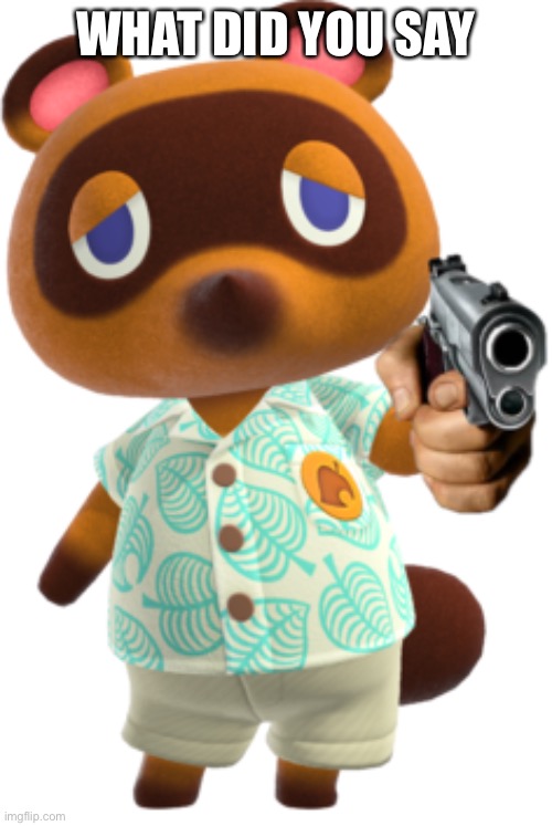 Tom Nook with a Gun | WHAT DID YOU SAY | image tagged in tom nook with a gun | made w/ Imgflip meme maker
