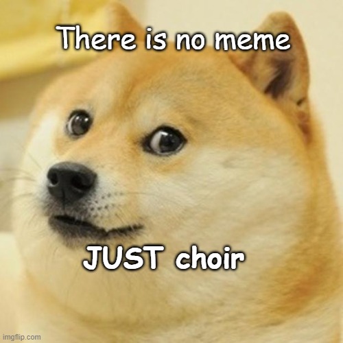 Doge | There is no meme; JUST choir | image tagged in memes,doge | made w/ Imgflip meme maker
