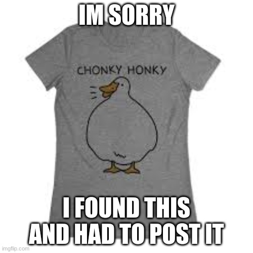 chonk | IM SORRY; I FOUND THIS AND HAD TO POST IT | image tagged in duck | made w/ Imgflip meme maker
