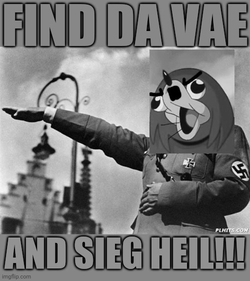 Find da vae and sieg heil XD | FIND DA VAE; AND SIEG HEIL!!! | image tagged in hitler,ugandan knuckles,dank memes,memes,do you know da wae,de wae | made w/ Imgflip meme maker
