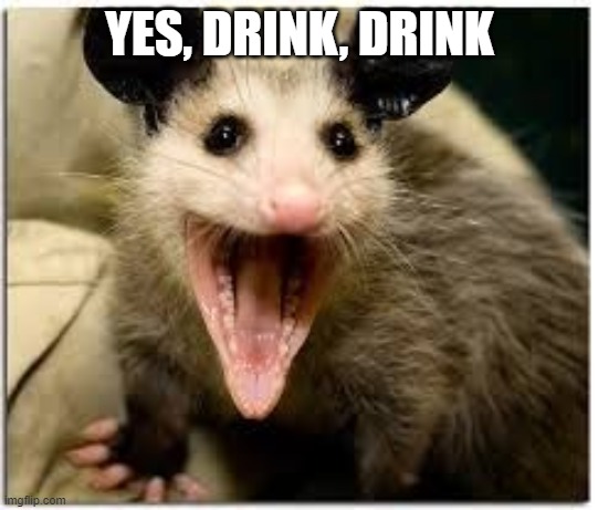 opossum | YES, DRINK, DRINK | image tagged in opossum | made w/ Imgflip meme maker