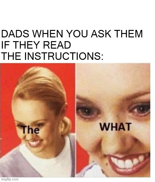 The what | DADS WHEN YOU ASK THEM
IF THEY READ THE INSTRUCTIONS: | image tagged in the what,memes | made w/ Imgflip meme maker