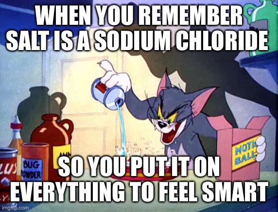 Tom and jerry chemistry | WHEN YOU REMEMBER SALT IS A SODIUM CHLORIDE; SO YOU PUT IT ON EVERYTHING TO FEEL SMART | image tagged in tom and jerry chemistry | made w/ Imgflip meme maker