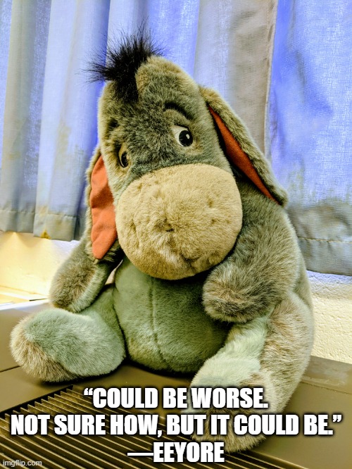 “COULD BE WORSE. NOT SURE HOW, BUT IT COULD BE.”
—EEYORE | image tagged in eeyore,cheer up | made w/ Imgflip meme maker