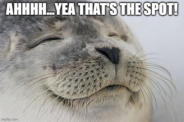 That's The Spot | AHHHH...YEA THAT'S THE SPOT! | image tagged in memes,satisfied seal | made w/ Imgflip meme maker