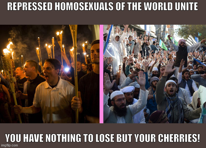 Tweedledums and Tweedledees | REPRESSED HOMOSEXUALS OF THE WORLD UNITE; YOU HAVE NOTHING TO LOSE BUT YOUR CHERRIES! | image tagged in paradox | made w/ Imgflip meme maker