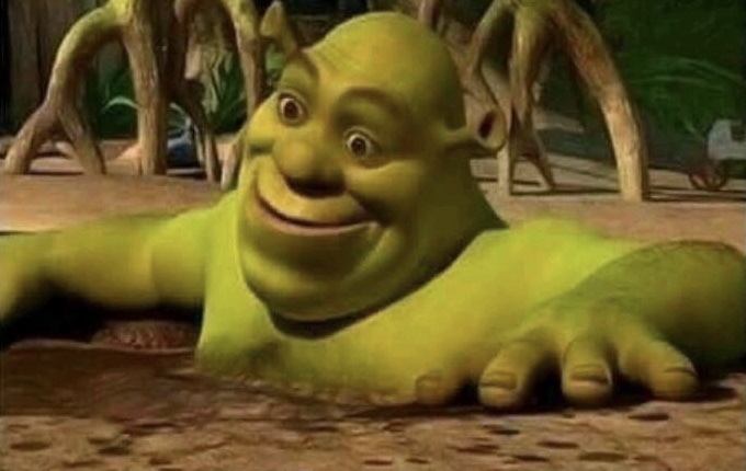 High Quality Shocked Shrek Blank Meme Template