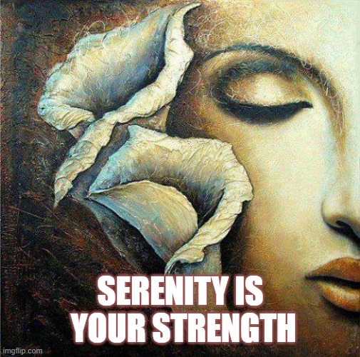 PATIENCE | SERENITY IS  YOUR STRENGTH | image tagged in thoughts and prayers | made w/ Imgflip meme maker