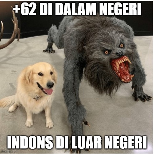 dog wolf | +62 DI DALAM NEGERI; INDONS DI LUAR NEGERI | image tagged in dog wolf | made w/ Imgflip meme maker