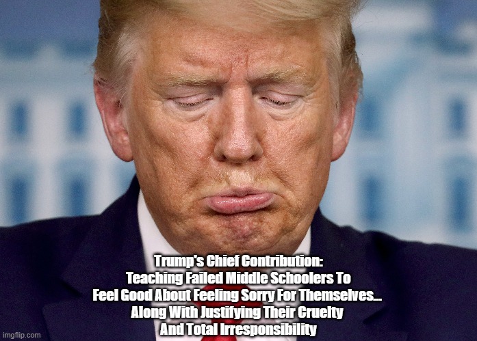 Trump's Chief Contribution:
Teaching Failed Middle Schoolers To Feel Good About Feeling Sorry For Themselves... 
Along With Justifying Their | made w/ Imgflip meme maker