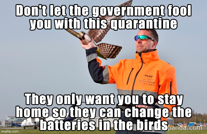 Government spys | image tagged in coronavirus,government,birds,robots | made w/ Imgflip meme maker