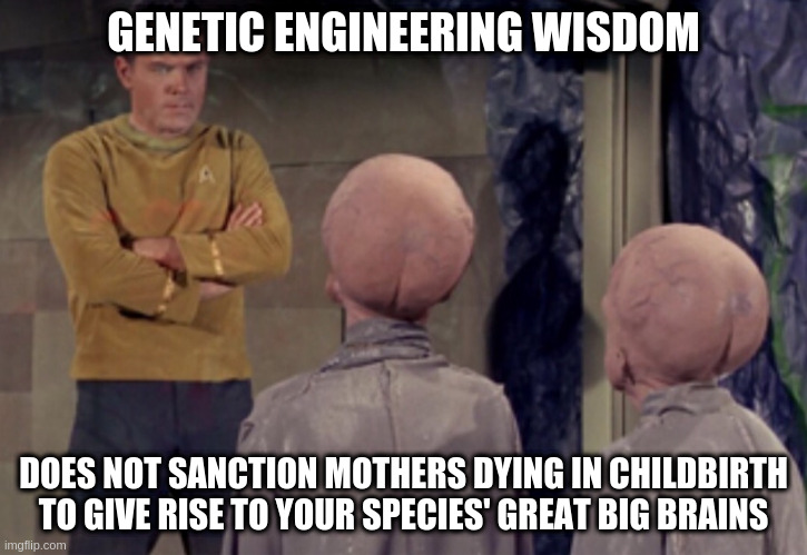 Star Trek Aliens - Transference | GENETIC ENGINEERING WISDOM; DOES NOT SANCTION MOTHERS DYING IN CHILDBIRTH TO GIVE RISE TO YOUR SPECIES' GREAT BIG BRAINS | image tagged in star trek aliens,transference,brains,genetic engineering,genesis | made w/ Imgflip meme maker