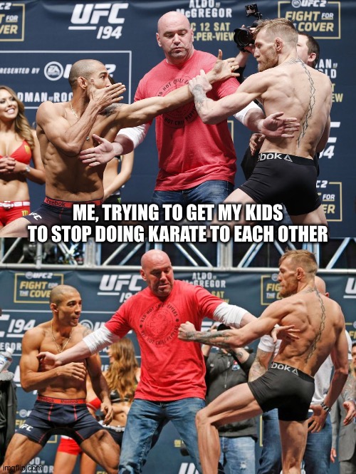 ME, TRYING TO GET MY KIDS TO STOP DOING KARATE TO EACH OTHER | image tagged in kids,brothers,karate,dad | made w/ Imgflip meme maker