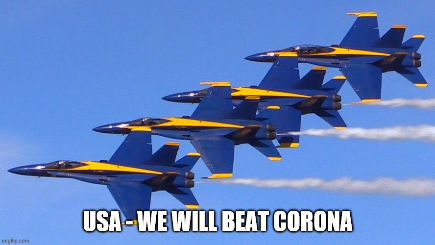 blue angles | USA - WE WILL BEAT CORONA | image tagged in blue angles | made w/ Imgflip meme maker