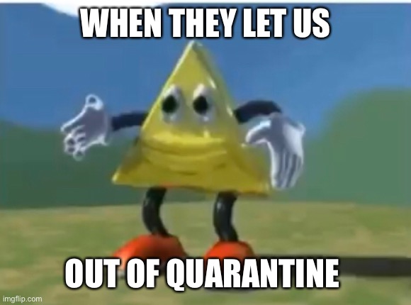 Funny triangle | WHEN THEY LET US; OUT OF QUARANTINE | image tagged in memes | made w/ Imgflip meme maker