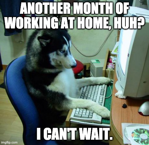 I Have No Idea What I Am Doing | ANOTHER MONTH OF WORKING AT HOME, HUH? I CAN'T WAIT. | image tagged in memes,i have no idea what i am doing | made w/ Imgflip meme maker