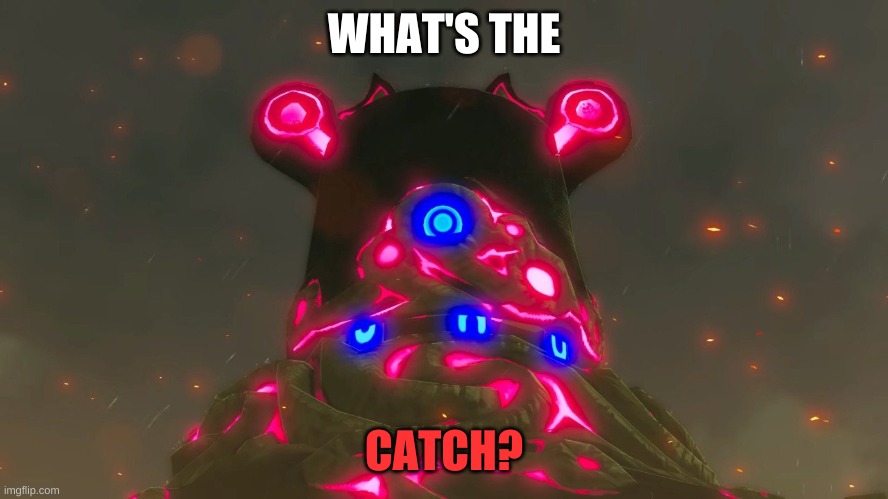 WHAT'S THE CATCH? | made w/ Imgflip meme maker
