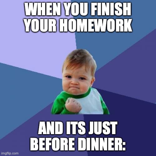 succes baby | WHEN YOU FINISH YOUR HOMEWORK; AND ITS JUST BEFORE DINNER: | image tagged in memes,success kid | made w/ Imgflip meme maker