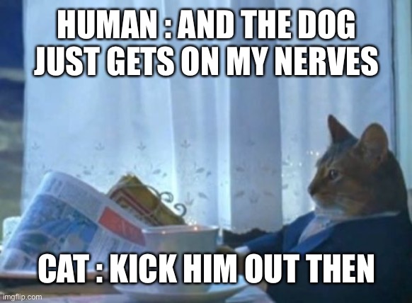 If cats could talk back |  HUMAN : AND THE DOG JUST GETS ON MY NERVES; CAT : KICK HIM OUT THEN | image tagged in memes,cat power,meow | made w/ Imgflip meme maker
