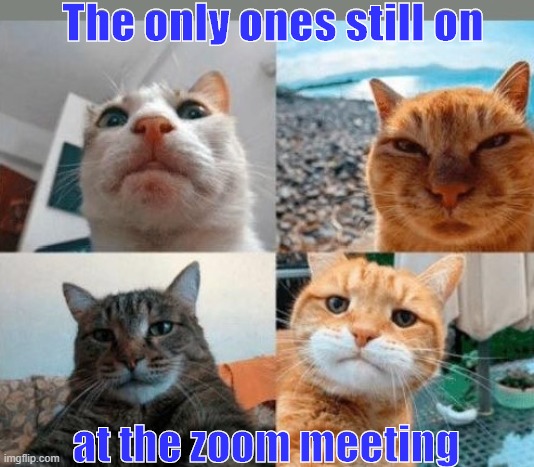 Zoom | The only ones still on; at the zoom meeting | image tagged in meeting | made w/ Imgflip meme maker