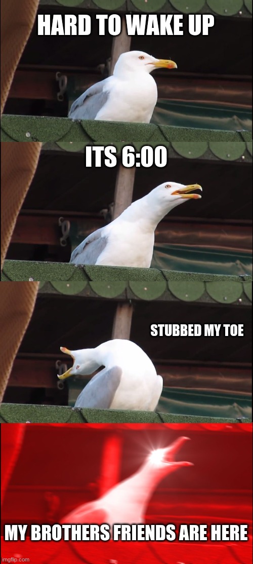 Inhaling Seagull | HARD TO WAKE UP; ITS 6:00; STUBBED MY TOE; MY BROTHERS FRIENDS ARE HERE | image tagged in memes,inhaling seagull | made w/ Imgflip meme maker