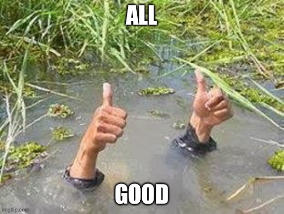 FLOODING THUMBS UP | ALL GOOD | image tagged in flooding thumbs up | made w/ Imgflip meme maker