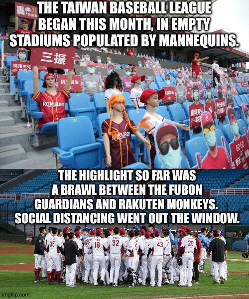 The fans were unimpressed. | THE TAIWAN BASEBALL LEAGUE BEGAN THIS MONTH, IN EMPTY STADIUMS POPULATED BY MANNEQUINS. THE HIGHLIGHT SO FAR WAS A BRAWL BETWEEN THE FUBON GUARDIANS AND RAKUTEN MONKEYS.  SOCIAL DISTANCING WENT OUT THE WINDOW. | image tagged in taiwan baseball | made w/ Imgflip meme maker