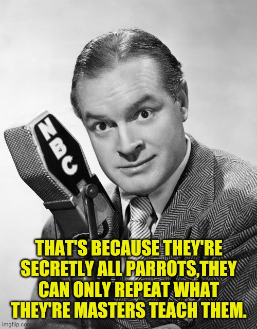 Bob Hope | THAT'S BECAUSE THEY'RE SECRETLY ALL PARROTS,THEY CAN ONLY REPEAT WHAT THEY'RE MASTERS TEACH THEM. | image tagged in bob hope | made w/ Imgflip meme maker