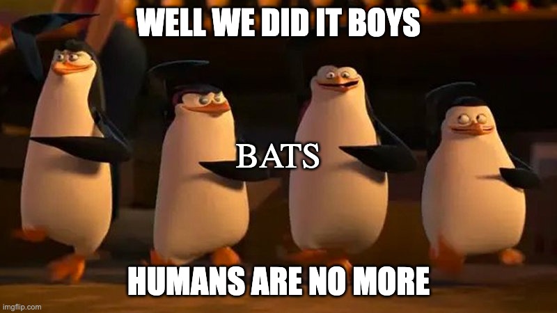 penguins of madagascar | WELL WE DID IT BOYS; BATS; HUMANS ARE NO MORE | image tagged in penguins of madagascar | made w/ Imgflip meme maker