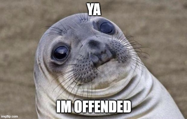 Awkward Moment Sealion Meme | YA IM OFFENDED | image tagged in memes,awkward moment sealion | made w/ Imgflip meme maker