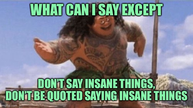 Good advice for everyone, especially our President and some of his defenders. | WHAT CAN I SAY EXCEPT; DON’T SAY INSANE THINGS, DON’T BE QUOTED SAYING INSANE THINGS | image tagged in what can i say except x,conservatives,trump,insane,quote,right wing | made w/ Imgflip meme maker