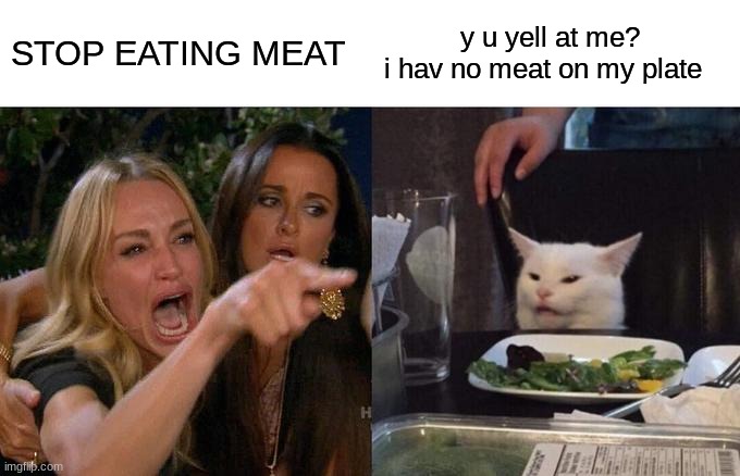woman yelling at cat | STOP EATING MEAT; y u yell at me? 
i hav no meat on my plate | image tagged in memes,woman yelling at cat | made w/ Imgflip meme maker