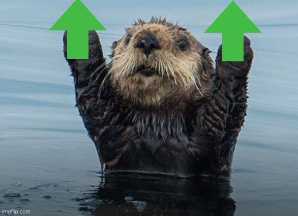 Hands up otter | image tagged in hands up otter | made w/ Imgflip meme maker