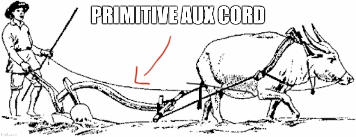 If you don’t get it look closer... | PRIMITIVE AUX CORD | image tagged in fun,animals,back in my day | made w/ Imgflip meme maker