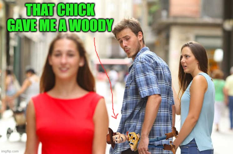 she gave me a woody | THAT CHICK GAVE ME A WOODY | image tagged in woody,distracted boyfriend | made w/ Imgflip meme maker