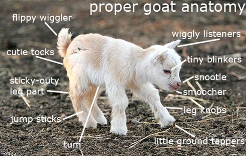 Goat anatomy | made w/ Imgflip meme maker