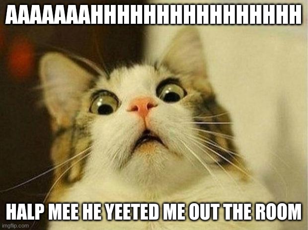 Scared Cat Meme | AAAAAAAHHHHHHHHHHHHHHHH; HALP MEE HE YEETED ME OUT THE ROOM | image tagged in memes,scared cat | made w/ Imgflip meme maker