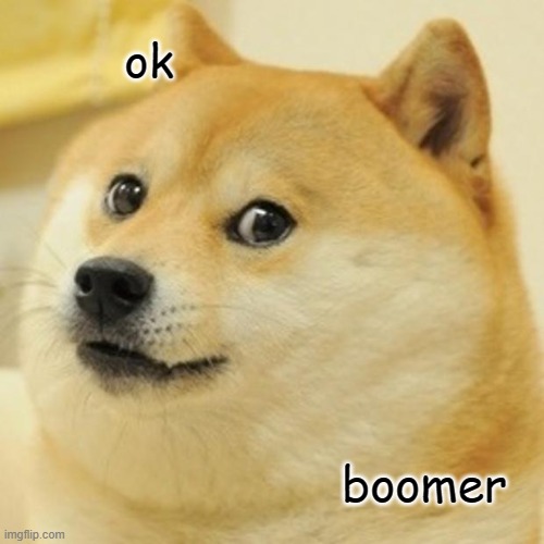 Doge | ok; boomer | image tagged in memes,doge | made w/ Imgflip meme maker